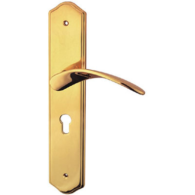 Brass Handle with Plate